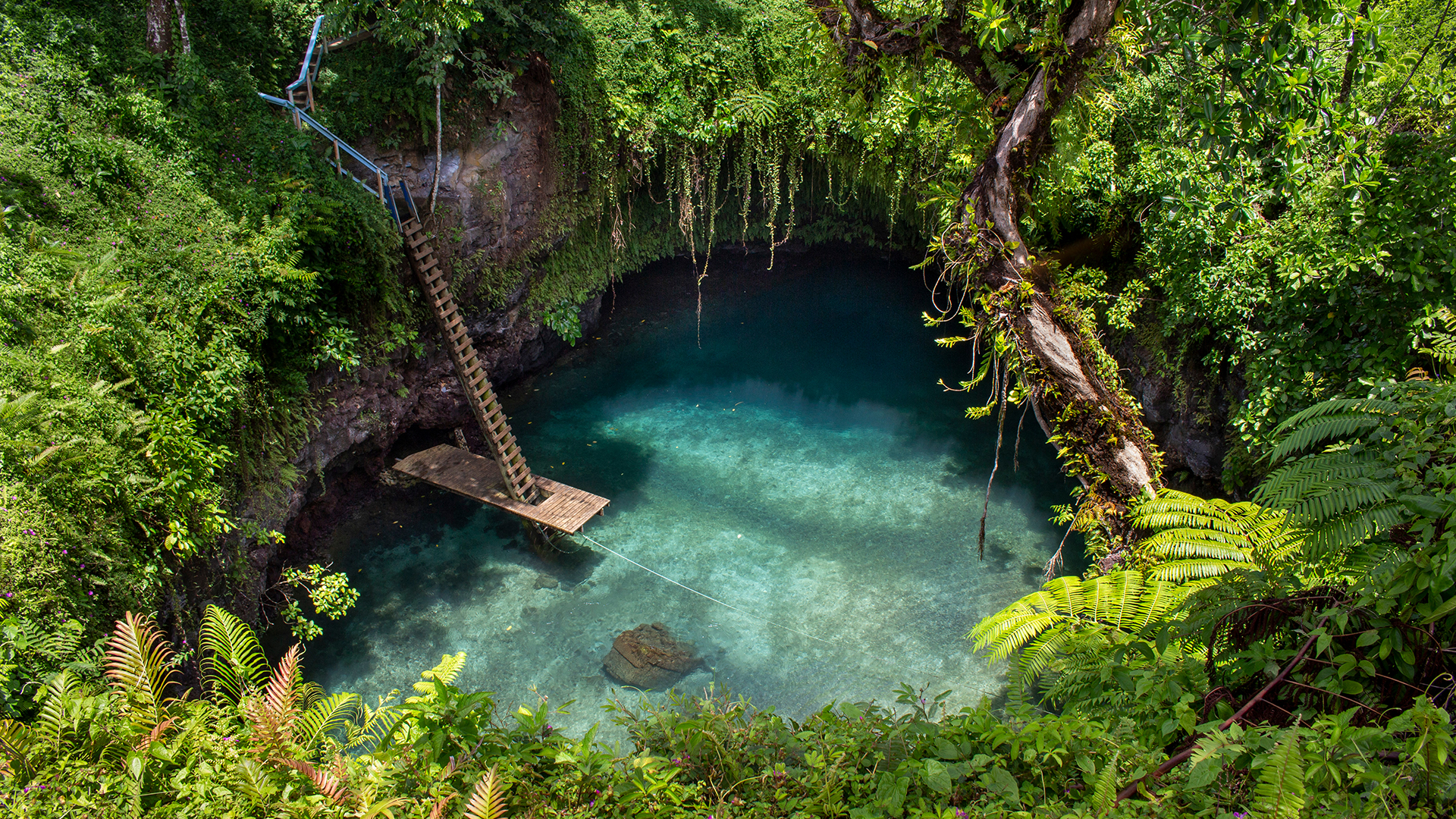 Samoa: Enigmatic To Sua Ocean Trench 